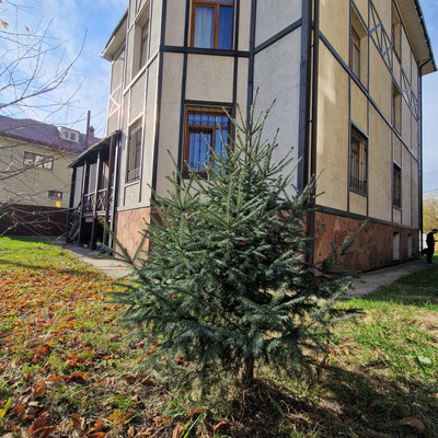 Купить  дом